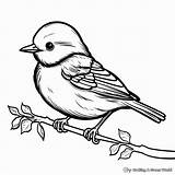 Mockingbird Coloring Pages  Free & Printable sketch template