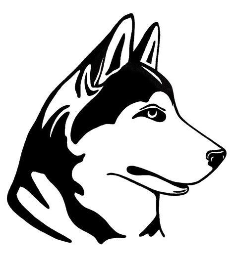 Husky Drawing by Lonnie Tapia