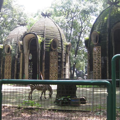 Ragunan Zoo (Jakarta) - 2021 Alles wat u moet weten VOORDAT je gaat - Tripadvisor