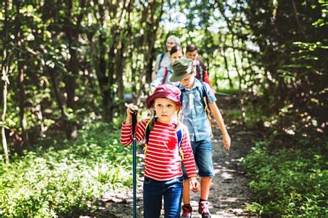 Family hiking in a forest | Royalty free photo - 431046