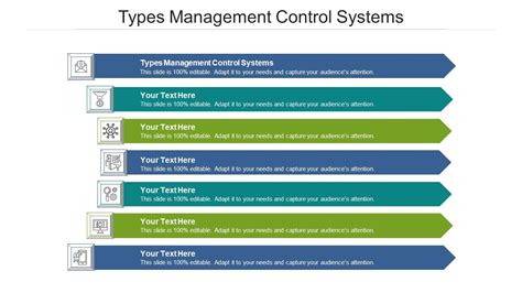 Types of management control system ppt