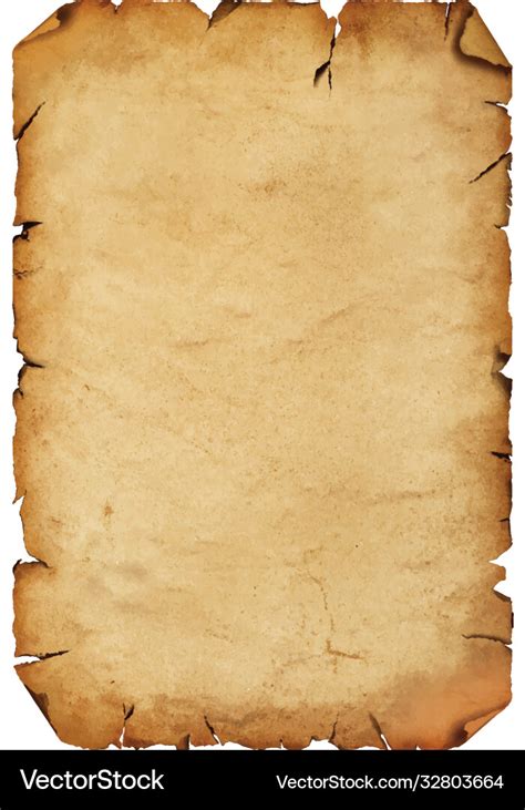 Old antique paper parchment scroll over white Vector Image