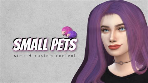 The Sims 4 Small Pets - All You Need to Know — SNOOTYSIMS