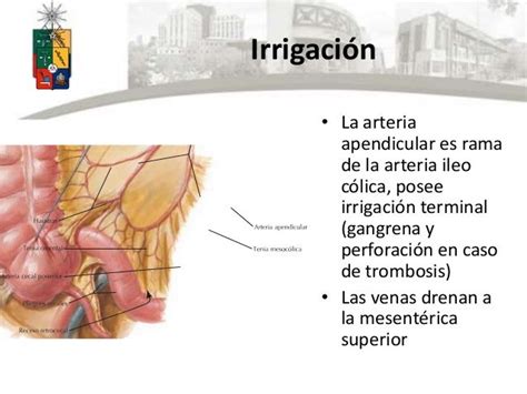 Apendicectomía abierta y vlp