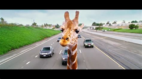 The Hangover - Part III (2013) Giraffe Scene - YouTube