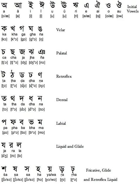 Learn Bengali Alphabet: Vowels and Consonants