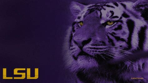 LSU Wallpapers • TrumpWallpapers