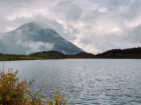 Take a Hike on the Carter Lake Trail Near Seward, Alaska