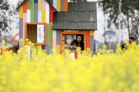 Blooming flowers revitalize rural China_China’s Rural Vitalization