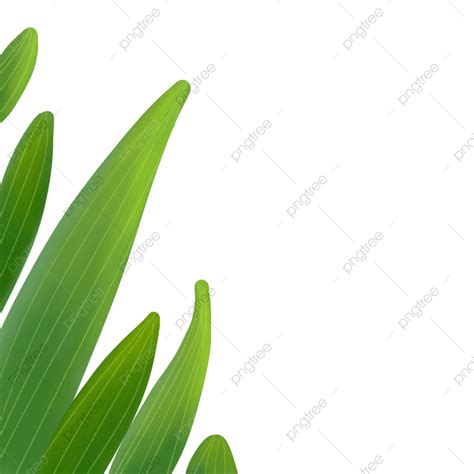 Green Plants Hd Transparent, Green Plants, Plant, Green Plant Material, Plant Pictures PNG Image ...