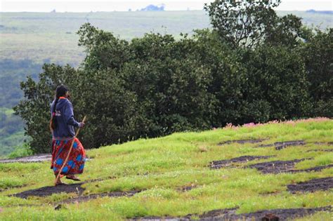 Kas Pathar Satara : When Maharashtra blooms