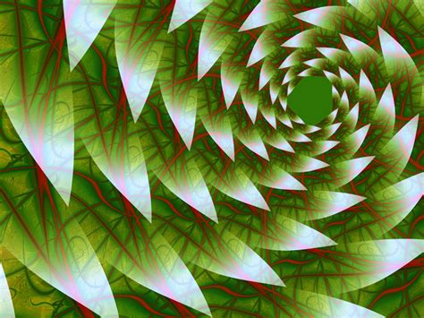 Fractal Art by Vicky, Leaves Wallpaper