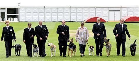 Animal OBEs awarded to Police Dogs for London terror attack heroics - London Post