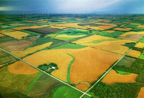 Agriculture - Aerial view of farmsteads and fields of mature winter ...