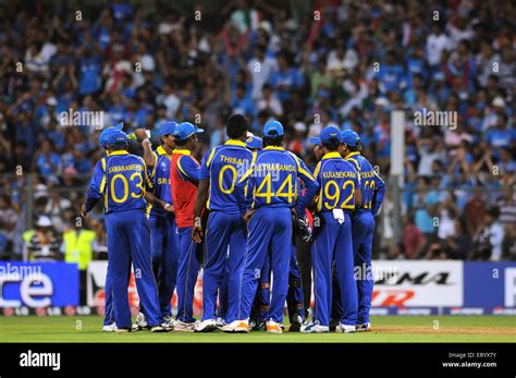 Srilanka Cricket Team Logo