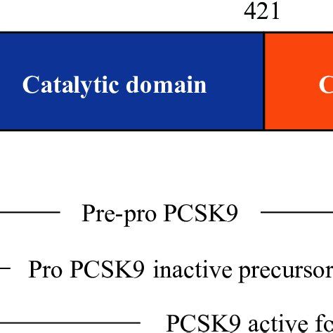 PCSK9 protein structure | Download Scientific Diagram