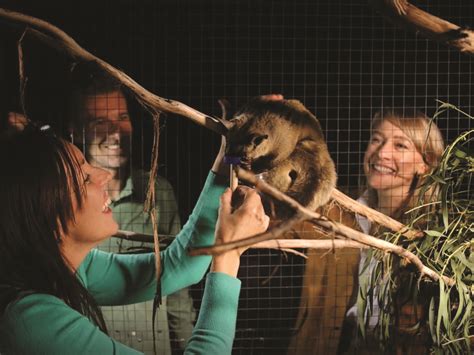 Moonlit Sanctuary Wildlife Conservation park - Sydney Melbourne Touring