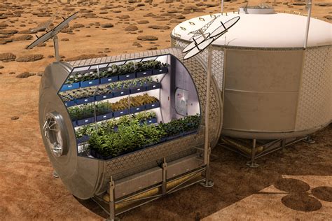 “Astroagricultura”: cómo cultivar plantas en el espacio – Science in School