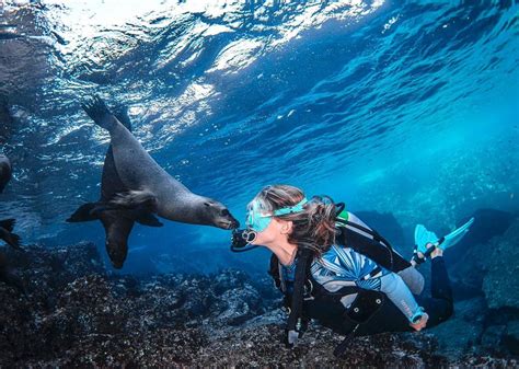 Swimming With The Sharks: This Ocean-Lover’s Unconventional Path to Marine Biology - Lenovo StoryHub