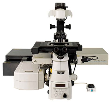 Nikon Instruments Unveils A1R MP Multiphoton And Confocal Microscope System | Nouvelles | Nikon ...