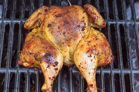 Recipe – Juicy Grilled Whole Chicken, Mediterranean-Style – Steve Green ...