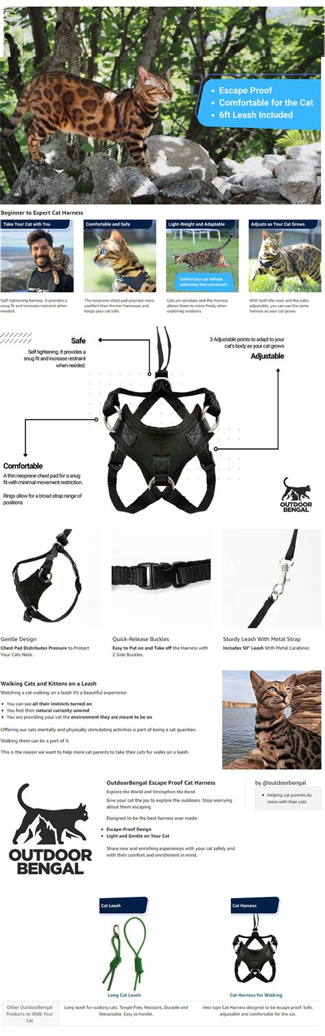 Cat Harness and Leash Set - Powtegic