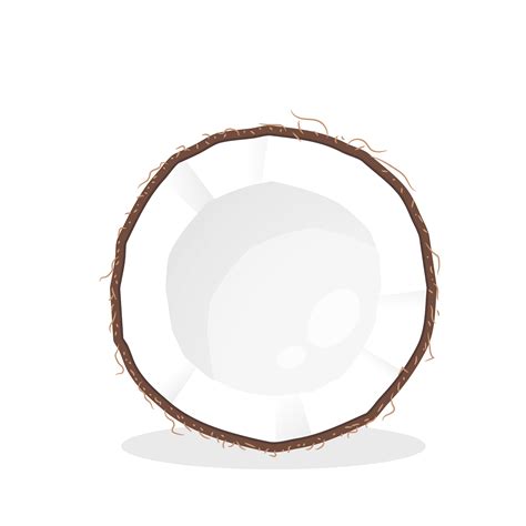 Coconut Cut in Half 1082649 Vector Art at Vecteezy