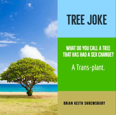 Tree Jokes And Puns - Feketerdo