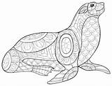 Free SEAL Coloring Pages For Download Printable PDF sketch template