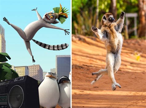 This Leaping Lemur Likes To 'Move It Move It'