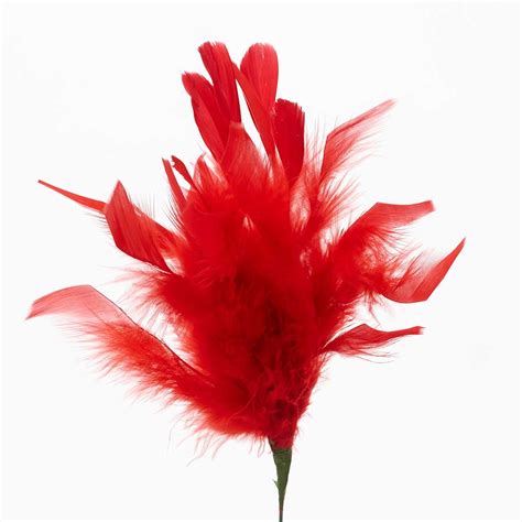 14" Feather Plume - Floral Supply Syndicate - Floral Gift Basket and ...