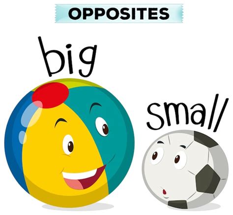 Opposite words for big and small Vector | Free Download