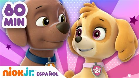 PAW Patrol | ¡Los rescates más valientes de Skye y Zuma durante 1 hora ...