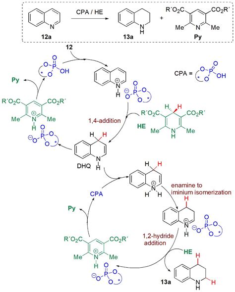 Catalysts | Free Full-Text | Applications of Hantzsch Esters in Organocatalytic Enantioselective ...