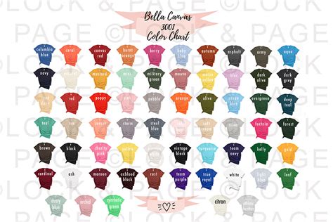 Bella Canvas 3001 Solids Color Chart Graphic by lockandpage · Creative Fabrica