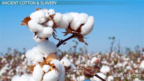 Cotton Textile Industry