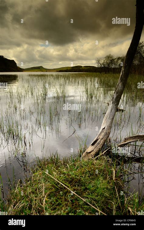 reflection on lake Stock Photo - Alamy