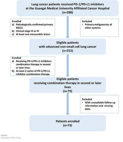 PD-1/PD-L1 inhibitors plus anti-angiogenic agents with or without chemotherapy versus PD-1/PD-L1 ...