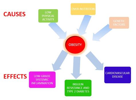 What Causes Obesity? - The Main Factors - Causes of Obesity in the U.S ...