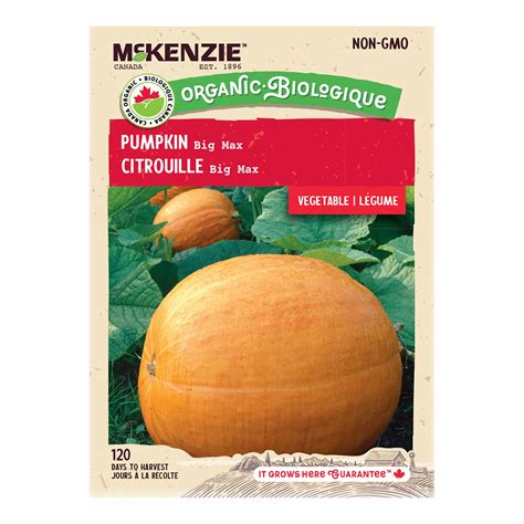 Buy Organic Pumpkin Big Max Vegetable Seed Online | McKenzie Seeds