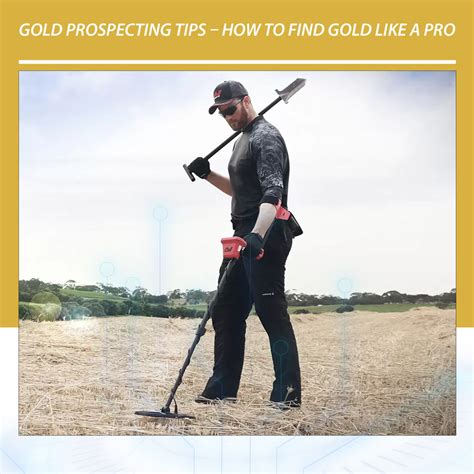 Gold Prospecting Tips – How to Find Gold Like a Pro - Gold Detectors ...