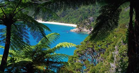 Visit Abel Tasman National Park in a tailor-made tour | Evaneos