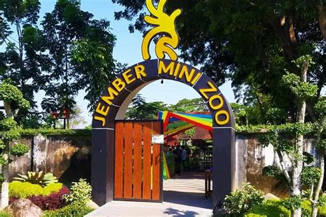 Jember Mini Zoo Obyek Wisata Edukasi dan Lingkungan Pas Untuk Keluarga - Kelumajang