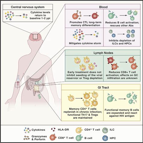 Effects of Early ART Administration during Acute HIV Infection on ...