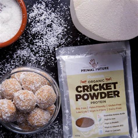 How Much Protein Is in a Cricket? All You Need To Know