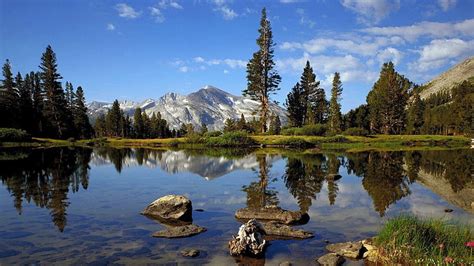 HD wallpaper: mountains landscapes forest california yosemite 1366x768 ...