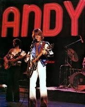 Andy Gibb Angel: ANDY GIBB BIOGRAPHY