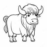 Yak Coloring Page 56153 44421 sketch template
