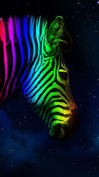 Rainbow Zebra, colorful, rainbow, zebra, HD wallpaper | Peakpx