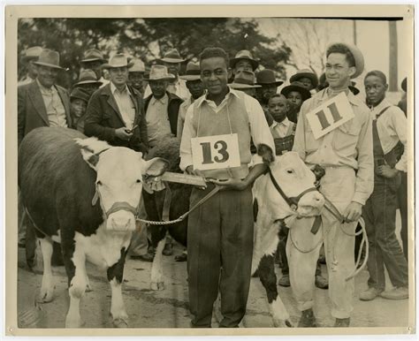 [Men with Award-Winning Beef Calves] - The Portal to Texas History